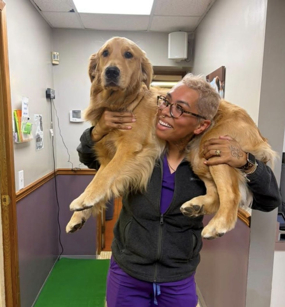 A team member holding a golden retriever close