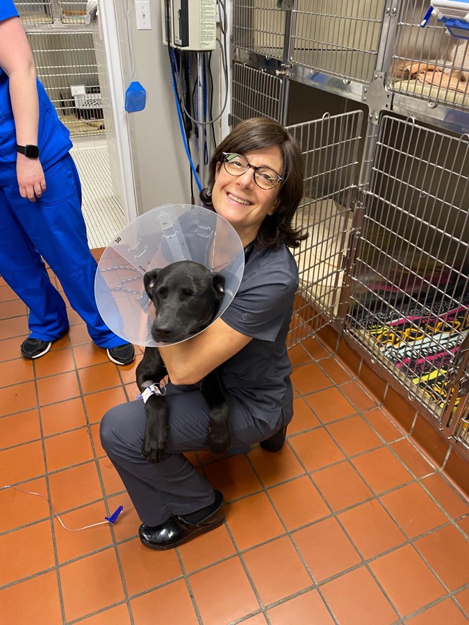 A Pathways team member comforting a puppy in a cone