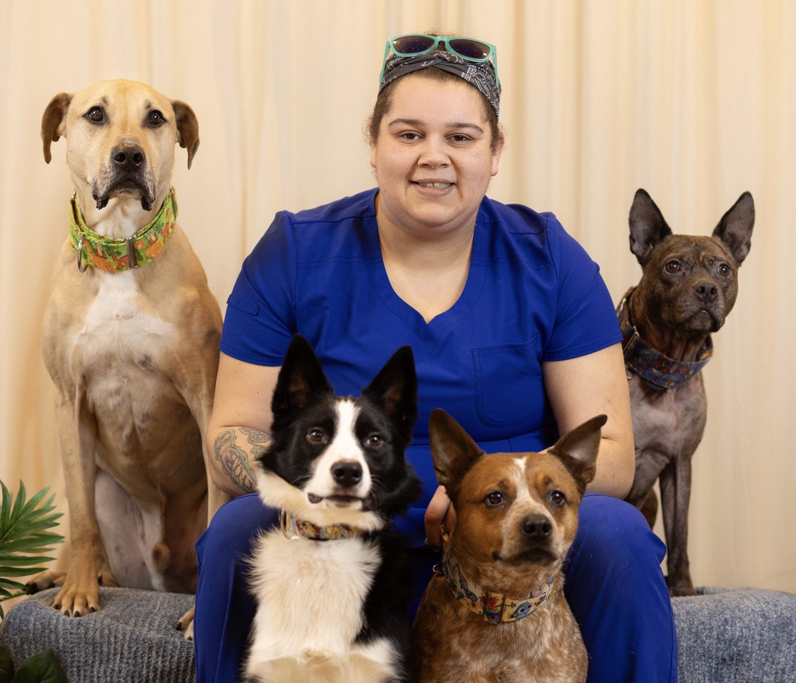 Kim, a Pathways veterinary assistant, seated calmly with four dogs of different breeds