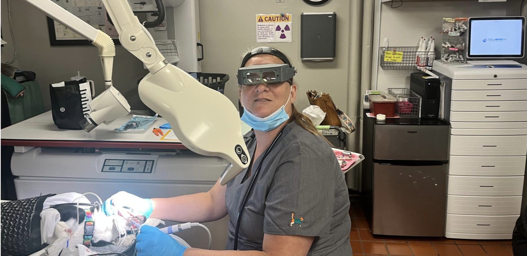 A Pathways Animal Hospital technician in magnifying loupes cleaning a patientβs teeth under anesthesia, beside the dental x-ray unit