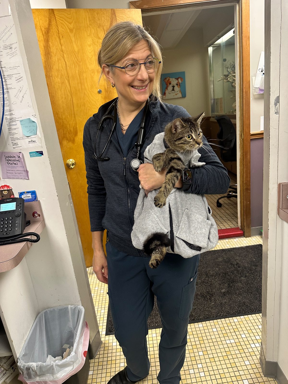 A veterinarian carrying a cat into the treatment area at Pathways Animal Hospital in Williamsville, New York