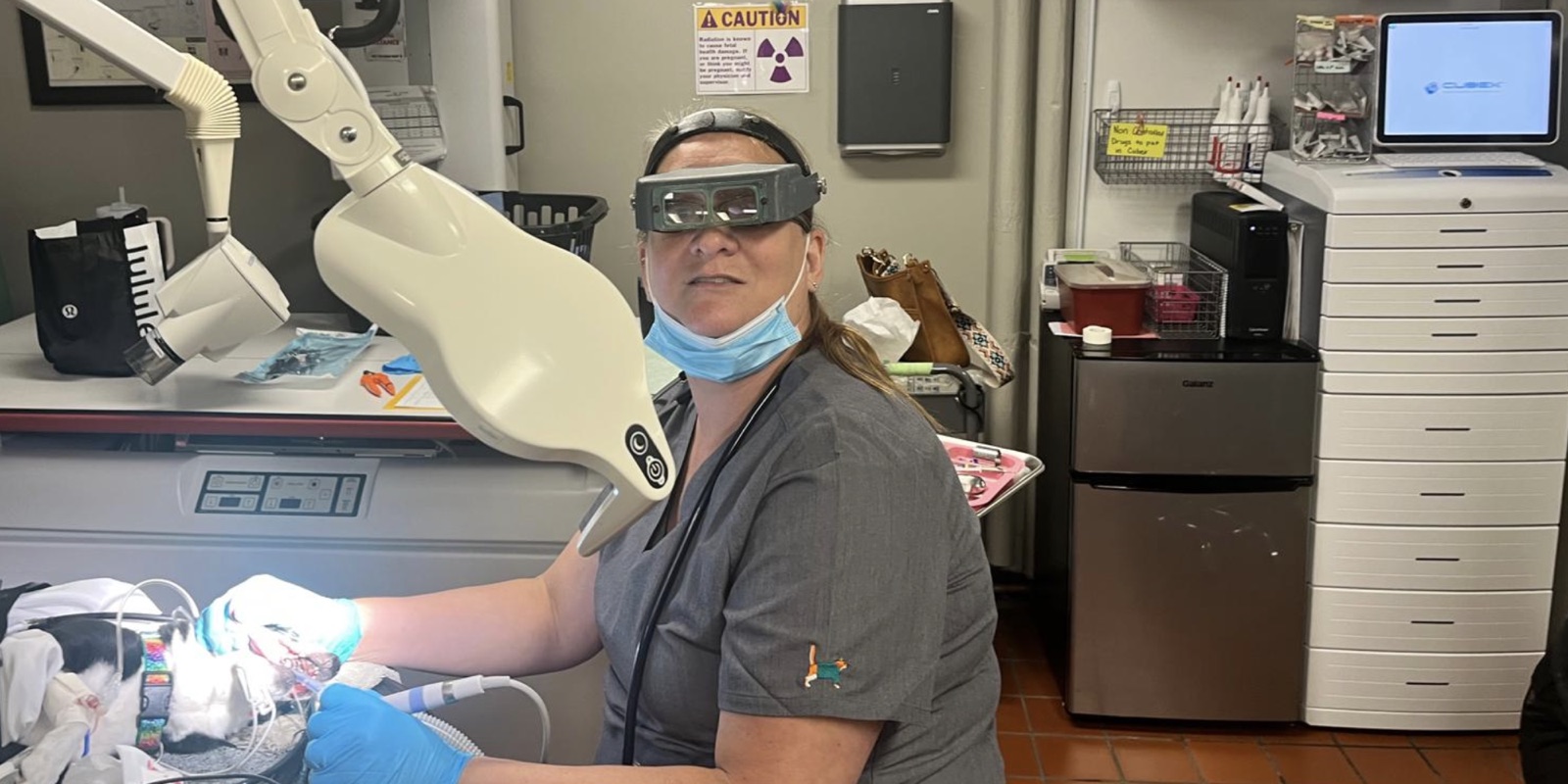 A Pathways veterinary technician wearing magnifying loupes performing a dental cleaning on a patient