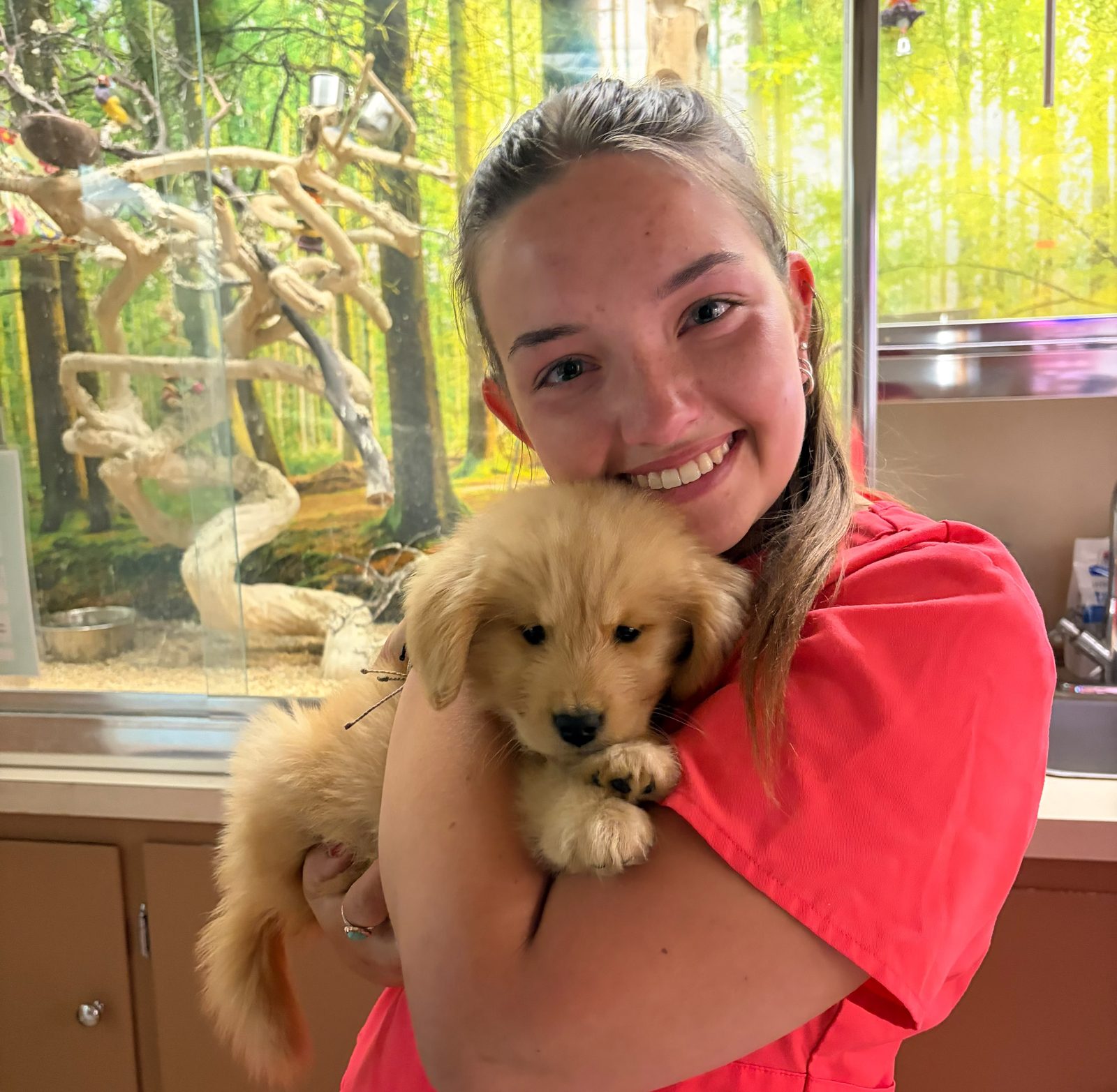 A Pathways team member holding a golden retriever puppy at a wellness visit