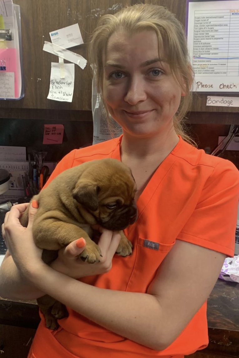 A Pathways technician cradling a newborn puppy in the treatment room