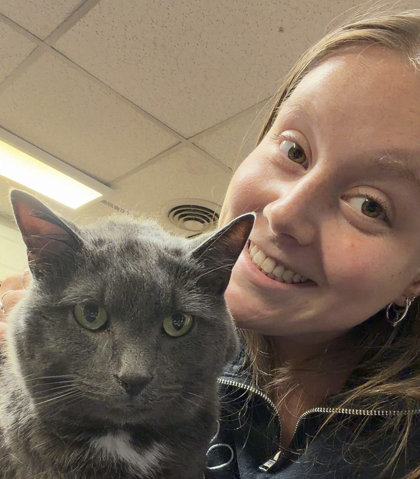 A grey cat resting against a Pathways Animal Hospital team member during a visit