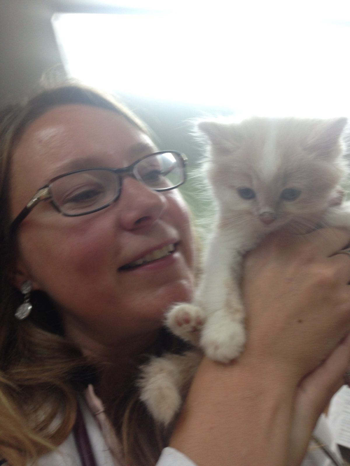 Dr. Amanda Donovan β photo 1