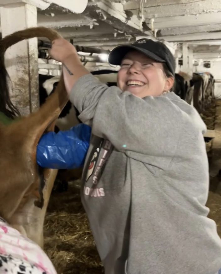 A large-animal handling session in a barn during Ellaβs veterinary technician training