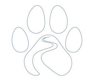 Vet Williamsville NY