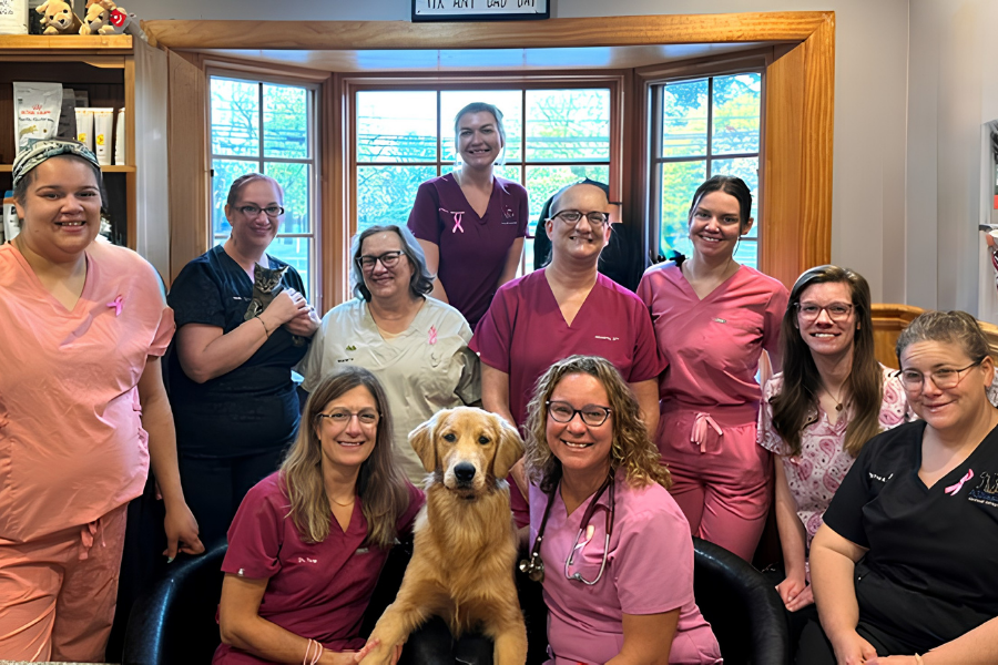 Pathways-Animal-Hospital