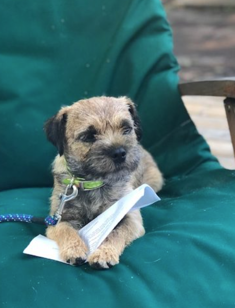 Screenshot 2026-03-13 171104