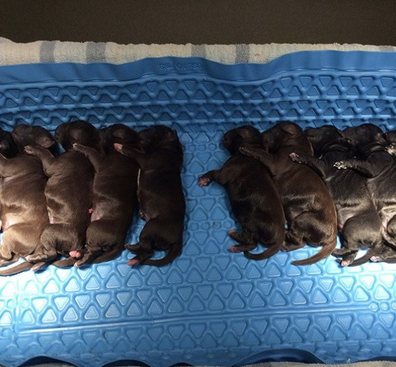 Screenshot 2026-03-13 171118