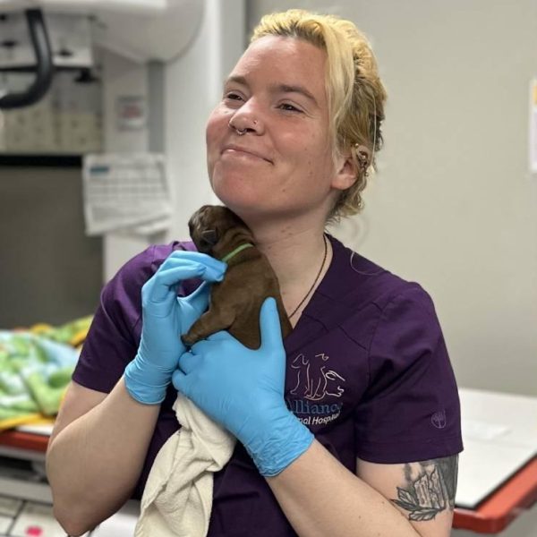 vet-holding-puppy-purple-scrubs
