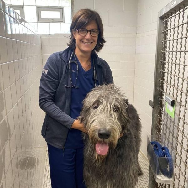 vet-with-large-dog-bathroom-area