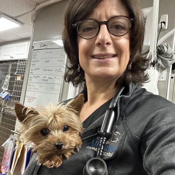 vet-with-small-dog-stethoscope-clinic